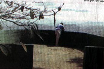 Bosque GuilartePuerto Ricodatos y fotosvideos